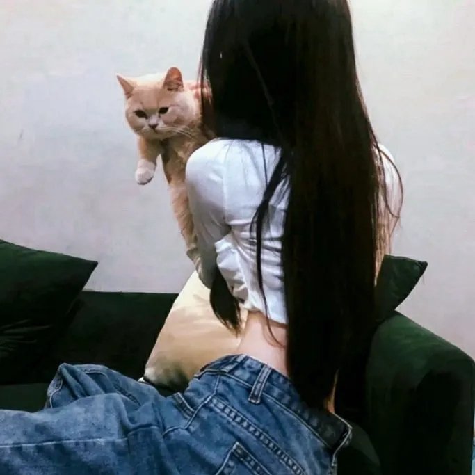 港口的灯光